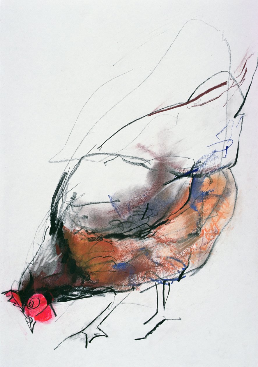 Feeding Hen, Trasierra, 1998 (grafitt, conte og kull på papir) av Mark Adlington
