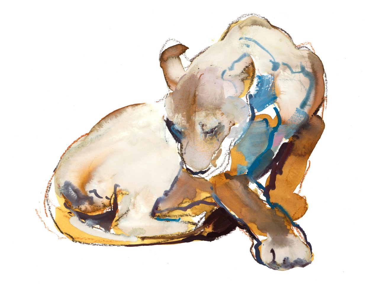 Feline Paint (løvinne), 2020 av Mark Adlington