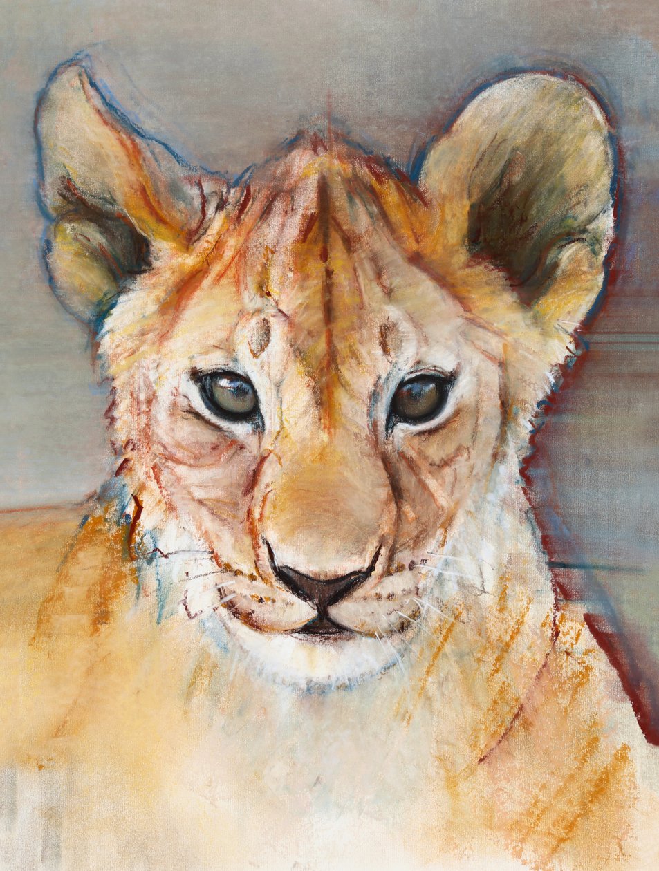 Heftig unge, Masai Mara, 2019 av Mark Adlington