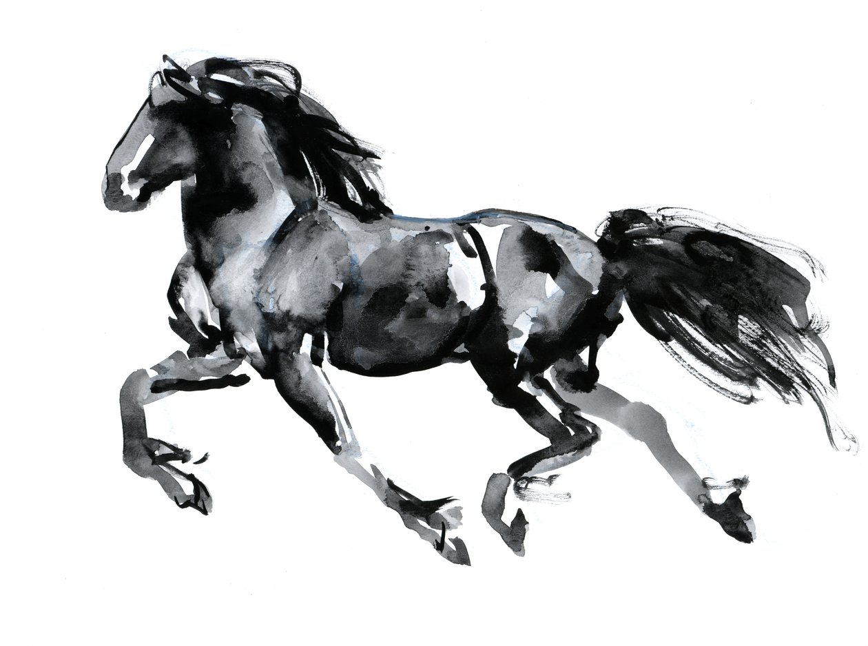 Flying Friesian, 2015, (kinesisk blekk på papir) av Mark Adlington