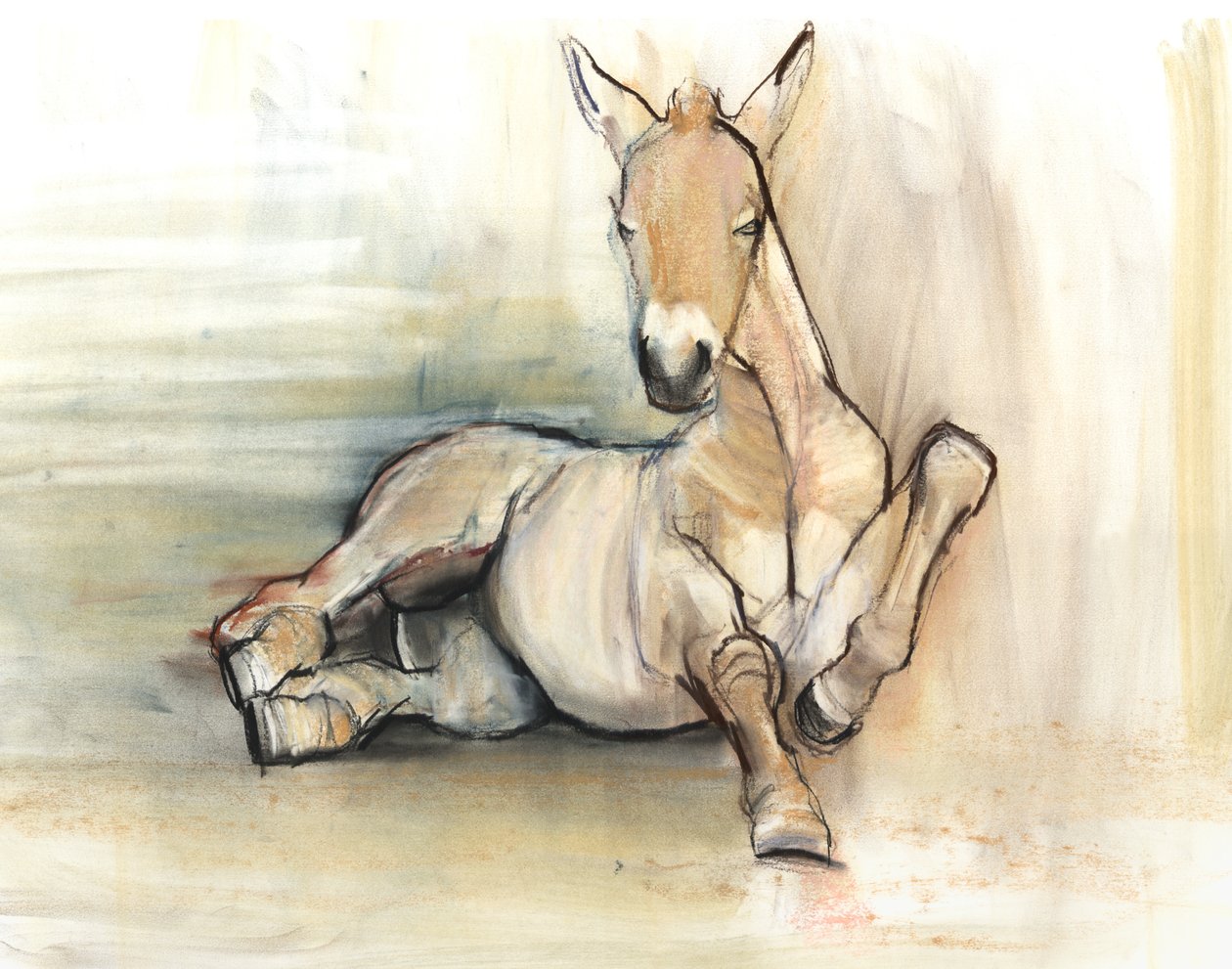 Føll, 2012, (kull conté og pastell på papir) av Mark Adlington