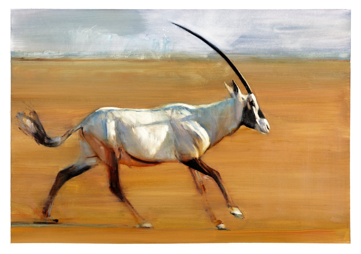 Galopperende Oryx, 2010 (olje på papir) av Mark Adlington