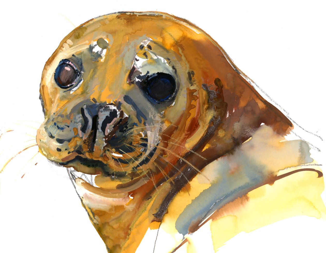 Ginger Pup, Westcove, 2023 av Mark Adlington