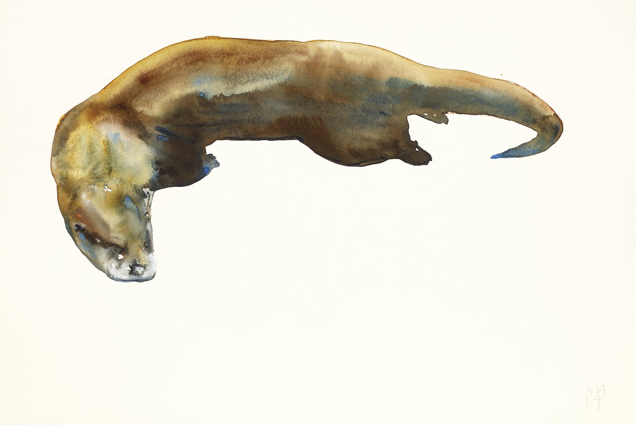 Gull, akvarell på papir (2014) av Mark Adlington