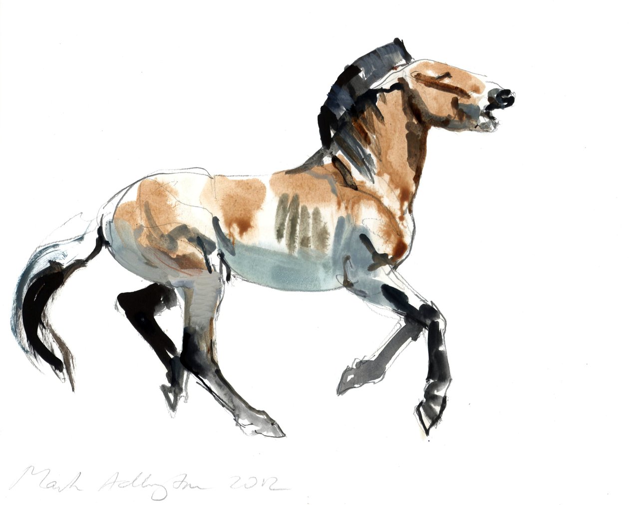Gresk (Przewalski), 2012, (blandet media på papir) av Mark Adlington