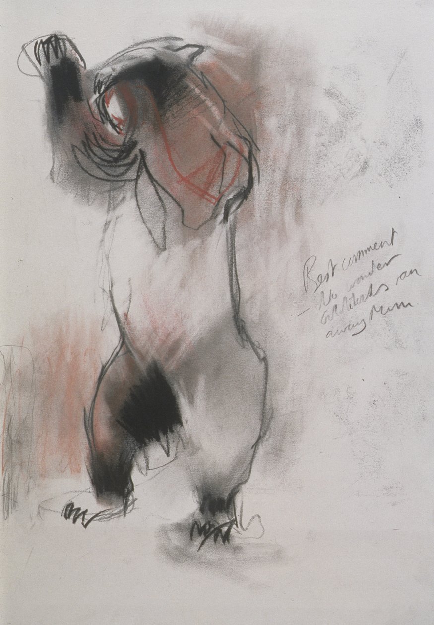 Grizzly, 1995 (kull, grafitt og conte på papir) av Mark Adlington