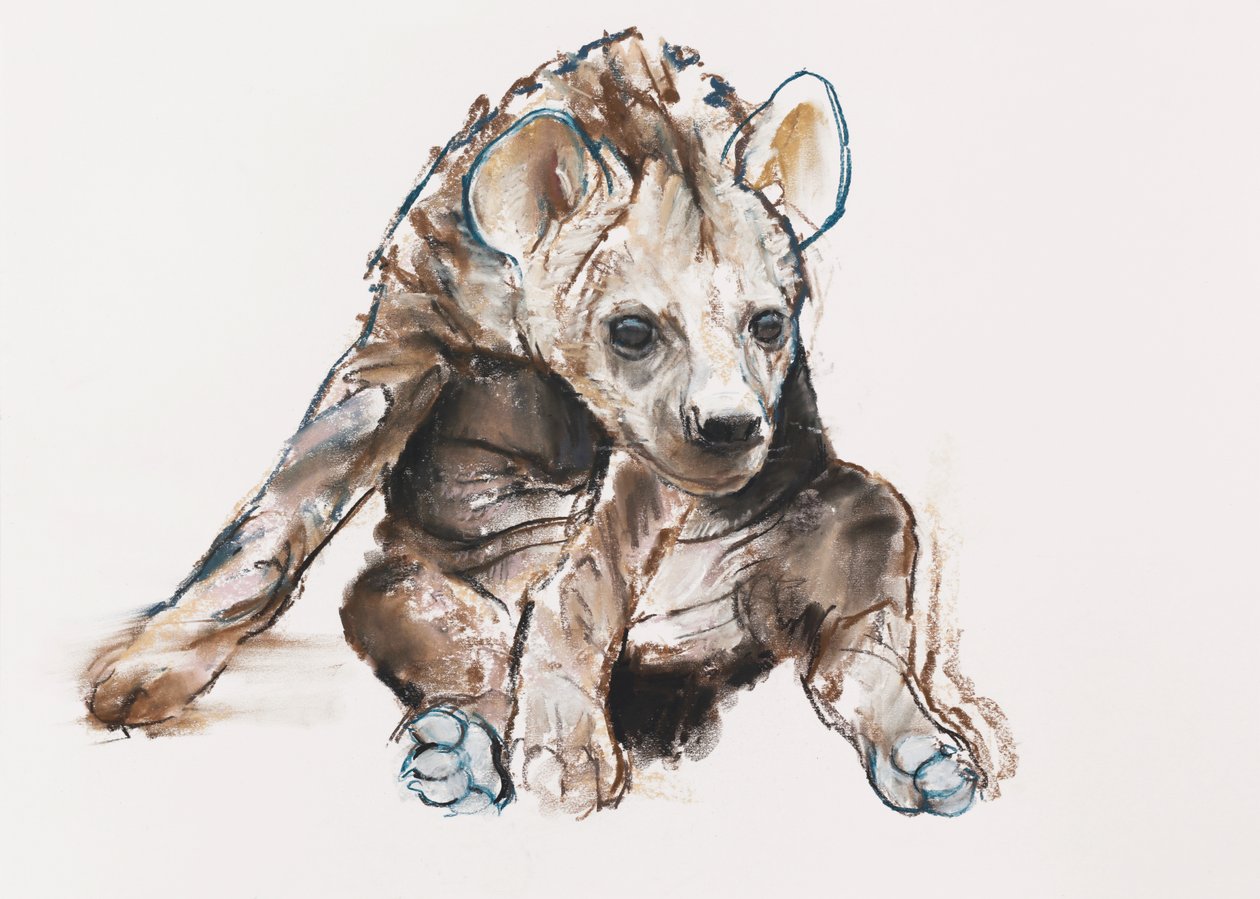Hyaena Pup (hodet ned), 2019 av Mark Adlington