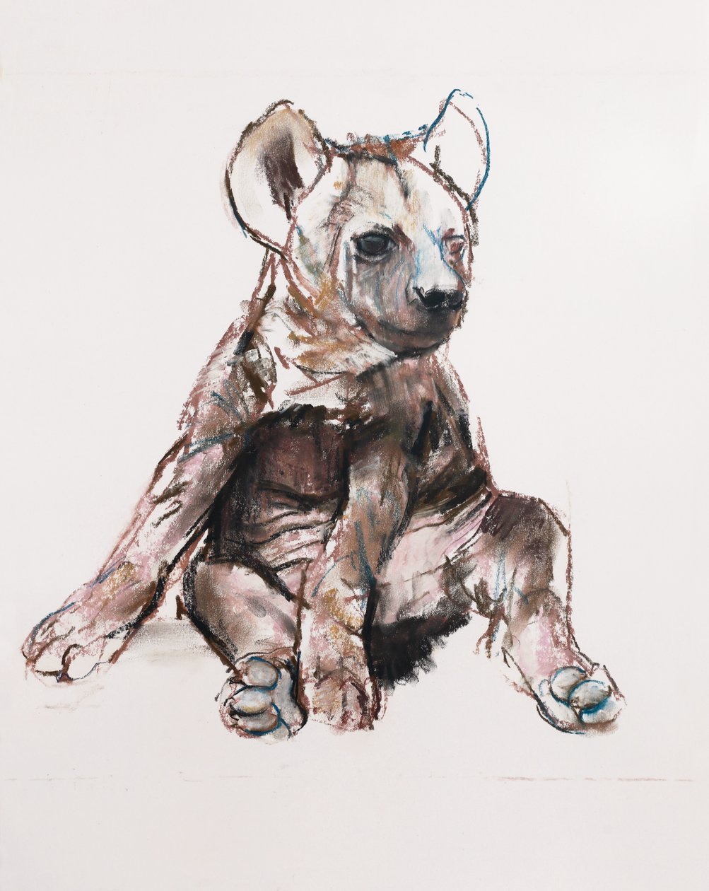 Hyaena Pup (sitter opp), 2019 av Mark Adlington