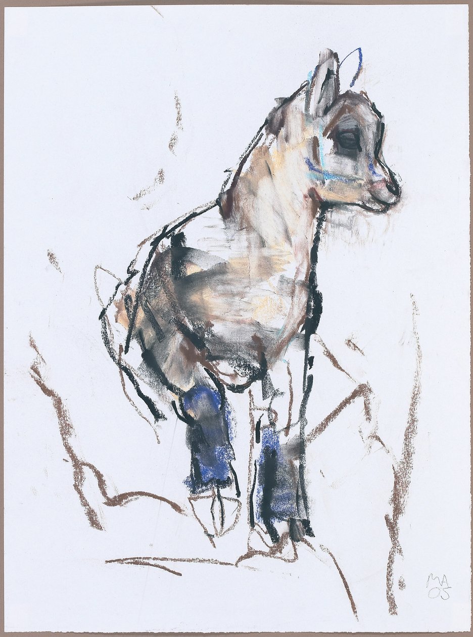 Ibex Kid (kull und conte på papir) av Mark Adlington