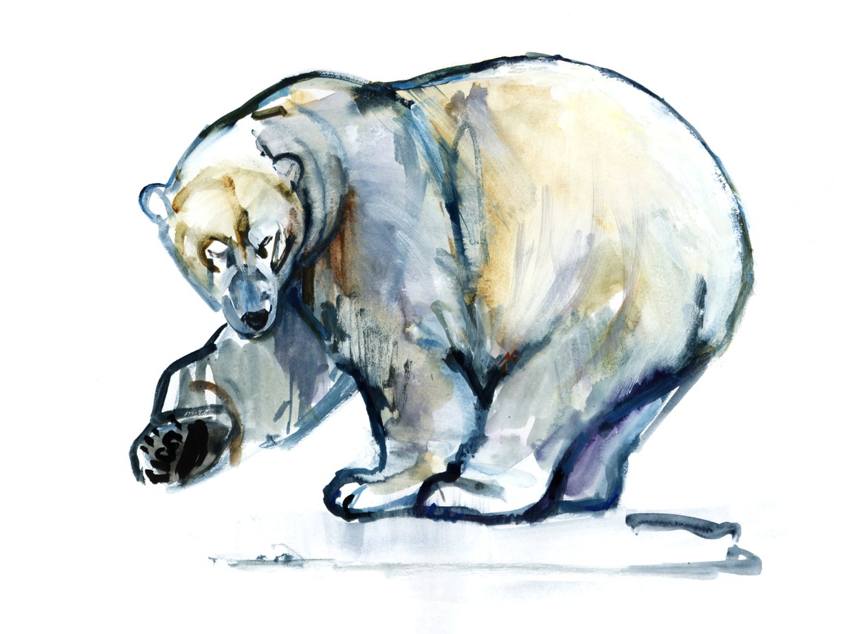 Isbjørn,2013,(akvarell og gouache på papir) av Mark Adlington