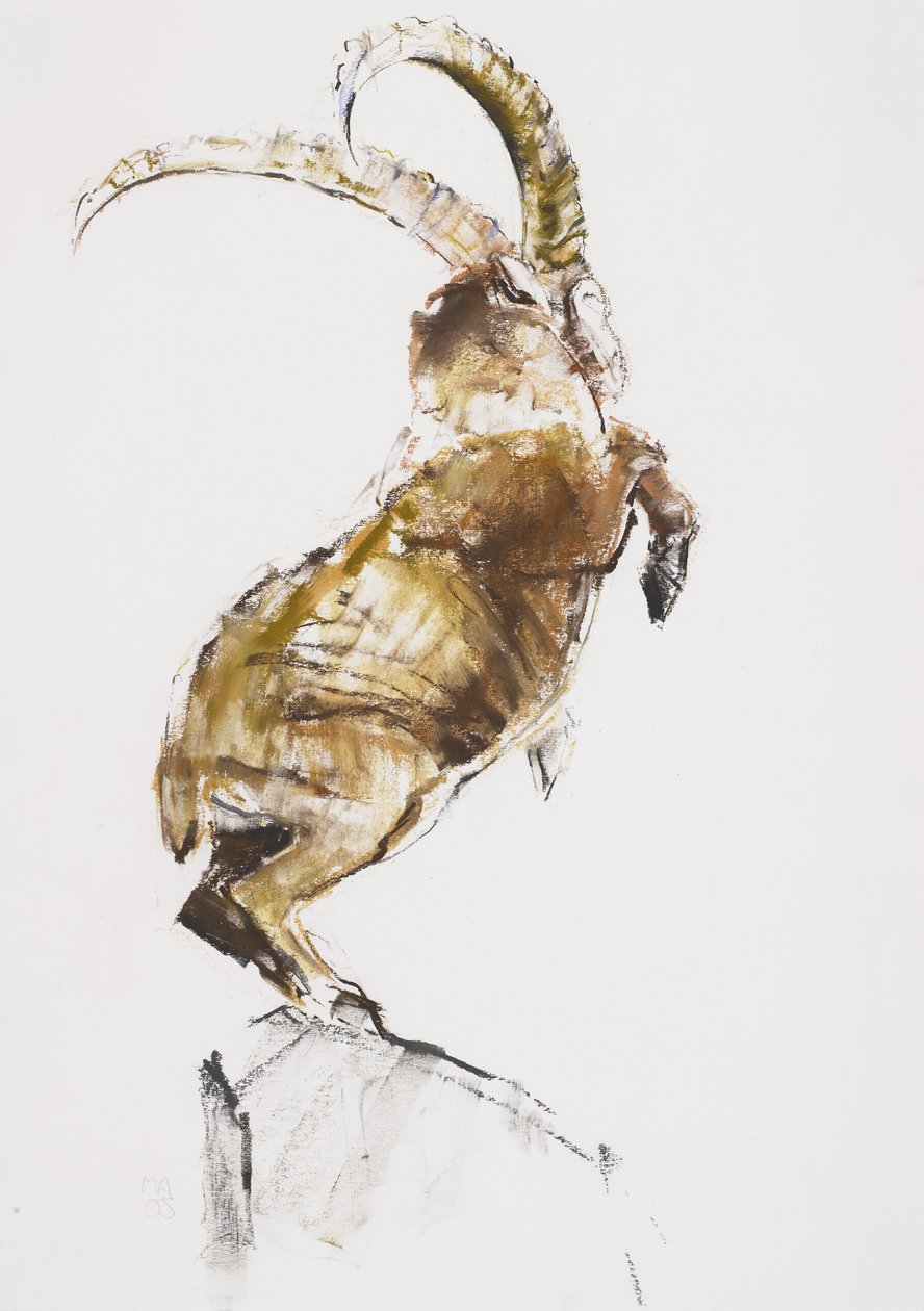 King of the Mountain, 2005 (charcoal und conte på papir) av Mark Adlington