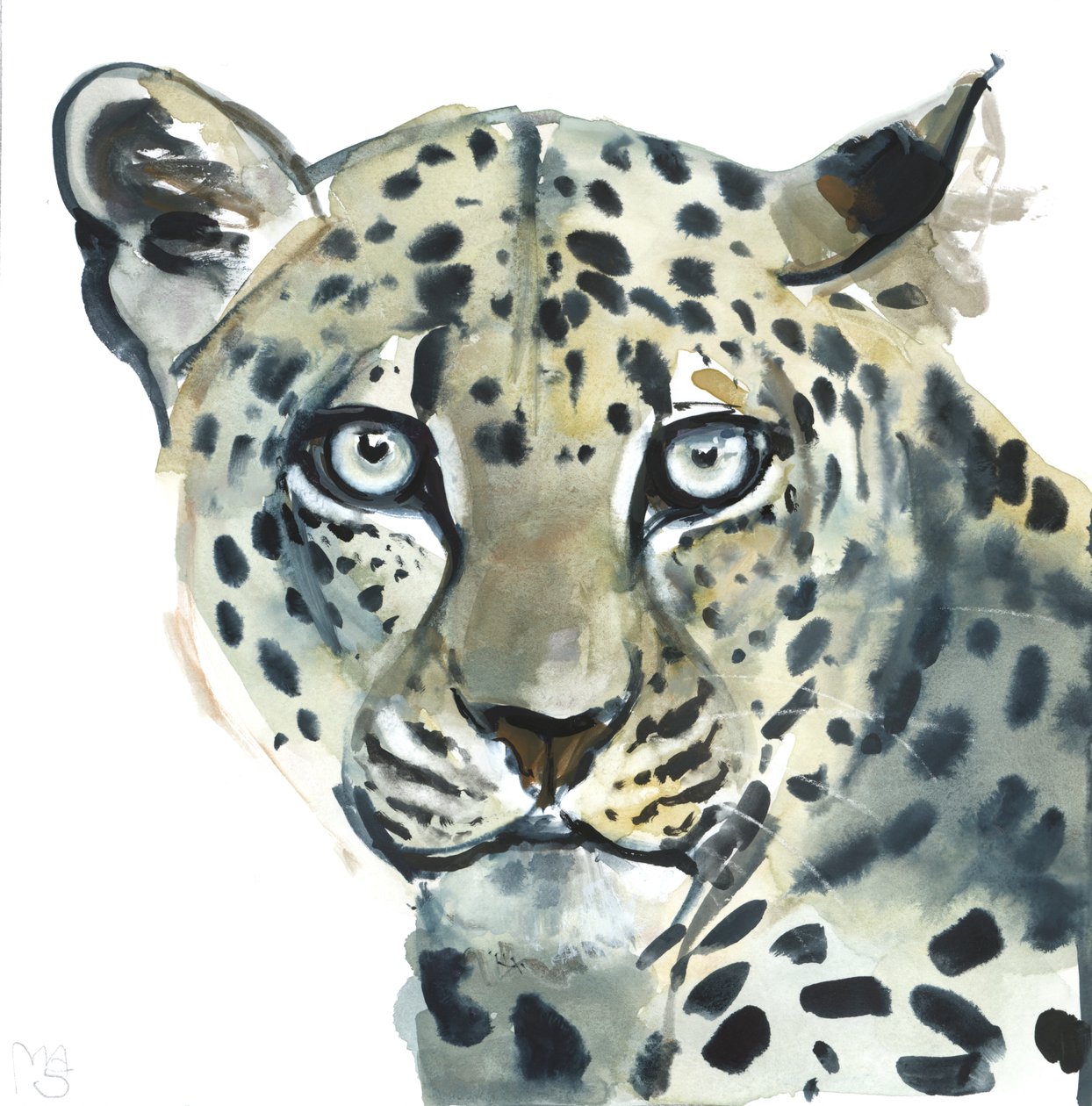 Leopard, 2015, (akvarell på papir) av Mark Adlington