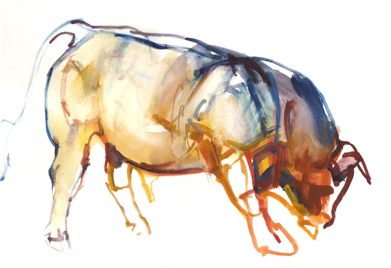 Little Bull, 2010, (akvarell og gouache på papir) av Mark Adlington