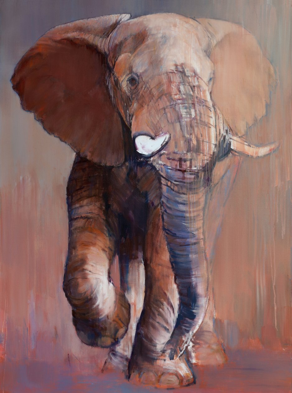 Loisaba Bull, 2018 av Mark Adlington