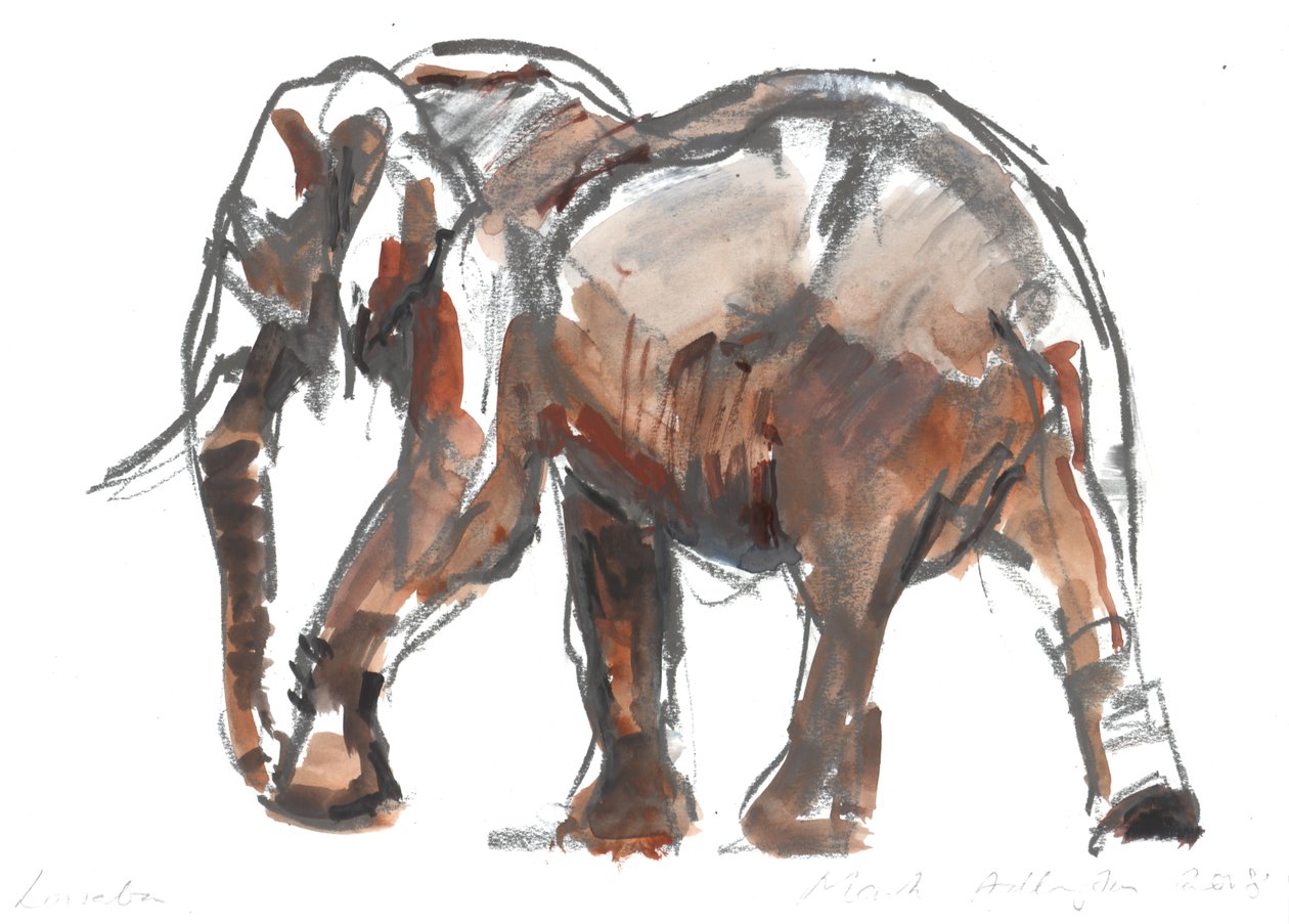 Loisaba conservancy, 2018 av Mark Adlington