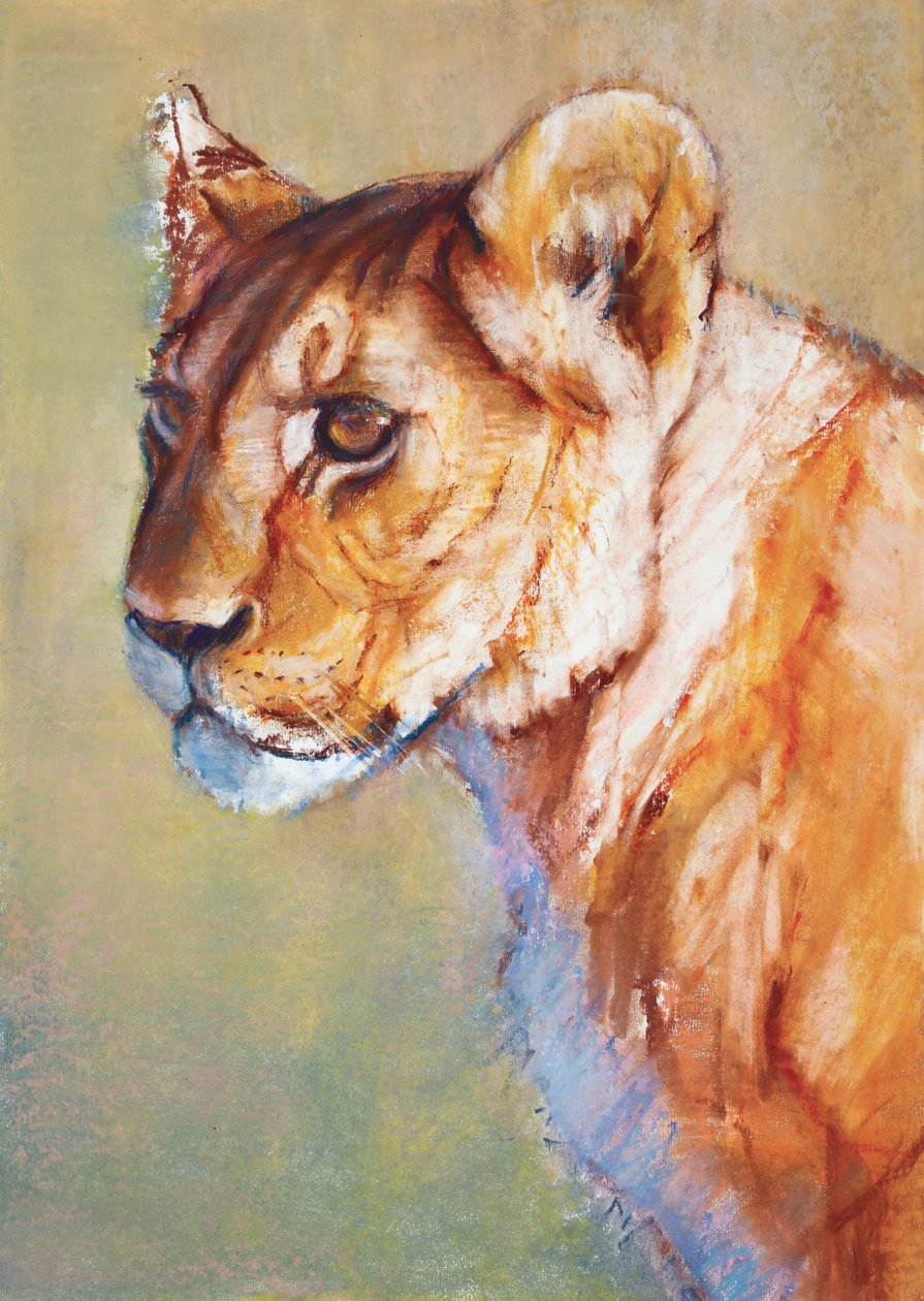 Lookout, 2019 av Mark Adlington