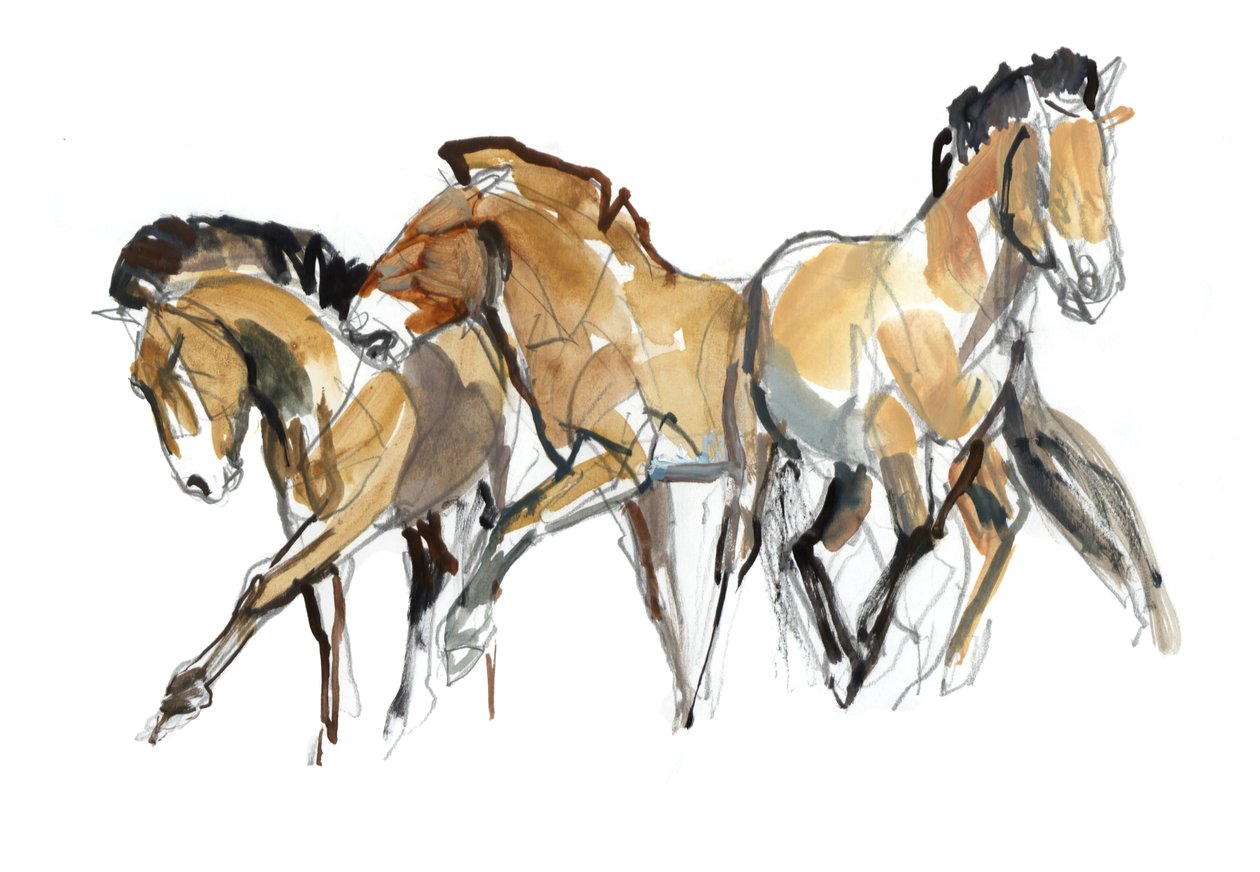Mistral Three (Przewalski), 2013 (sennelier blekk, akvarell og gouache) av Mark Adlington