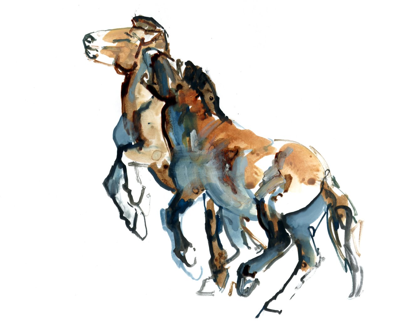 Nakkebitt, 2013 (sennelier blekk, akvarell og gouache) av Mark Adlington