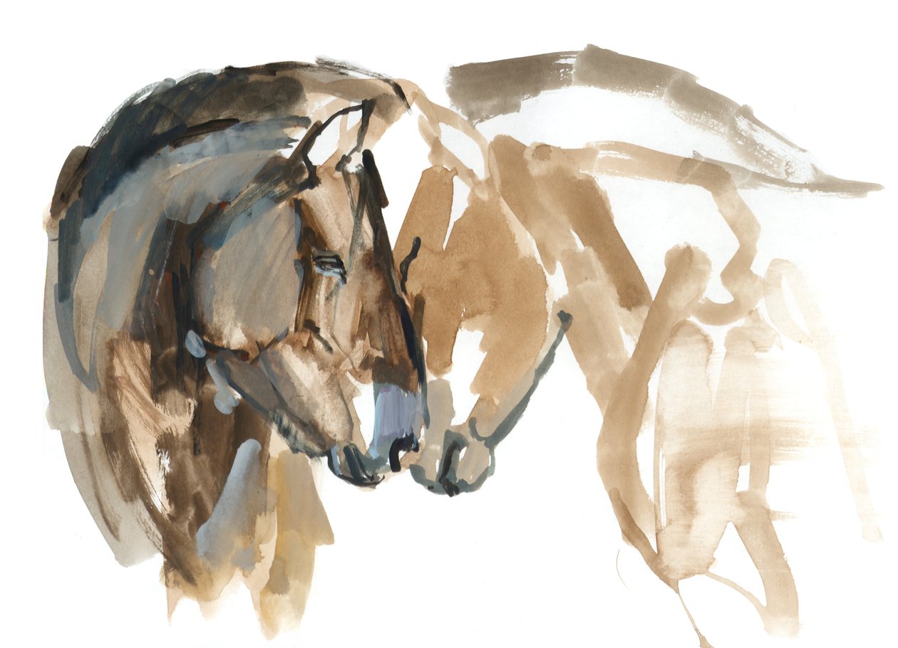 Nose to Nose (Przewalski), 2013 (sennelier blekk, akvarell og gouache) av Mark Adlington