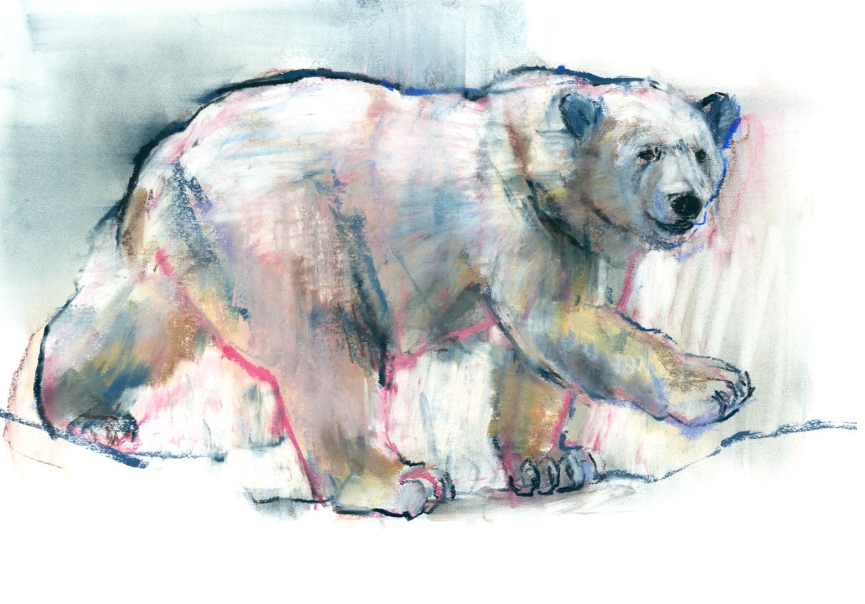 Rosa, 2016, (conté og pastell på papir) av Mark Adlington