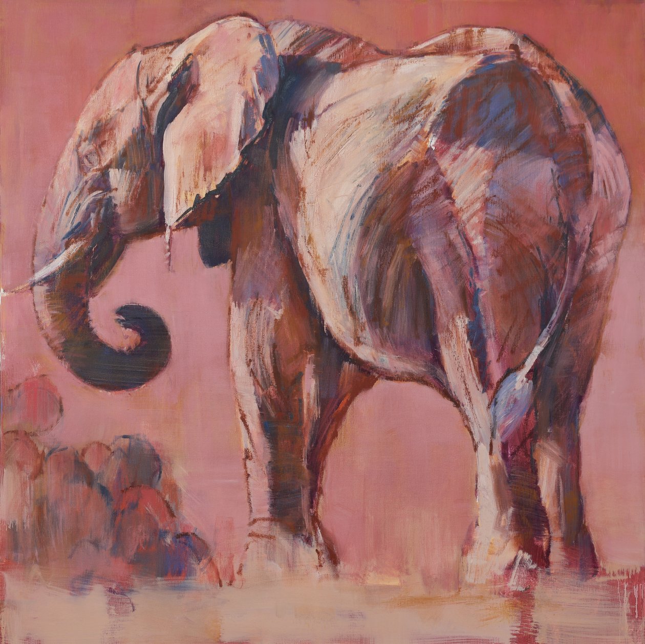 Rosa, 2018 av Mark Adlington