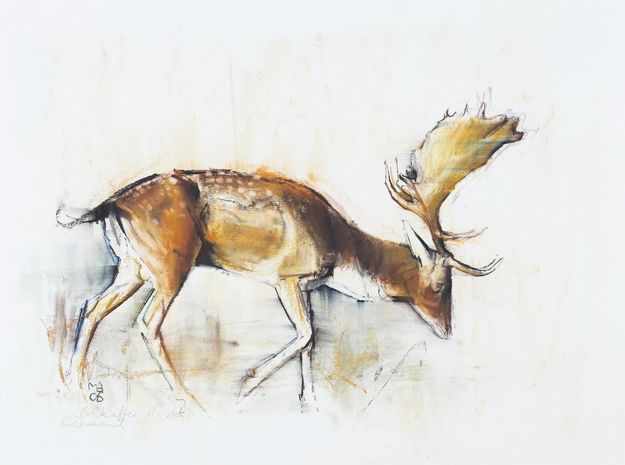 Pisanello Buck, 2006 (kull und conte på papir) av Mark Adlington