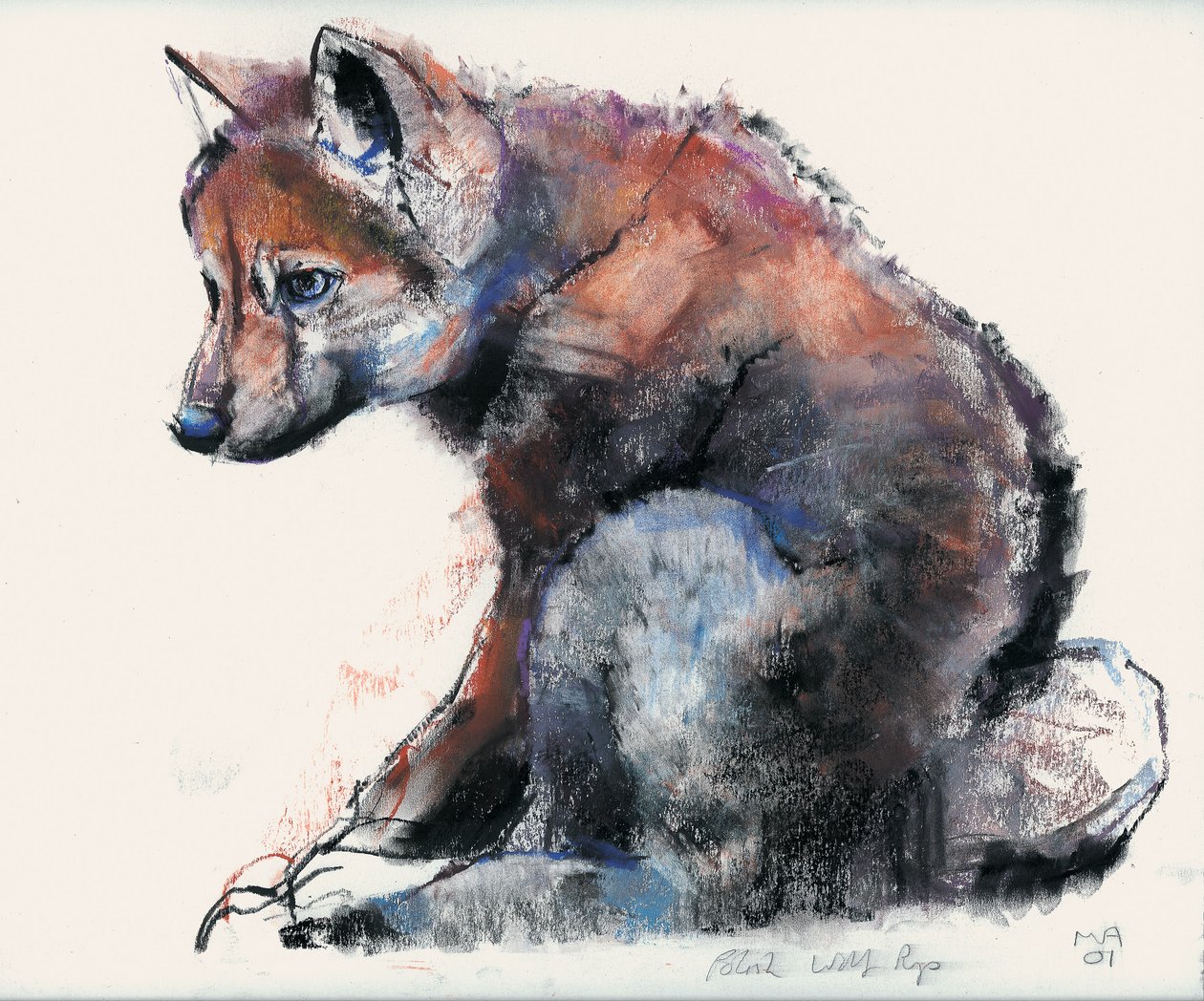 Polish Wolf Pup, 2001 (kull und conte på papir) av Mark Adlington