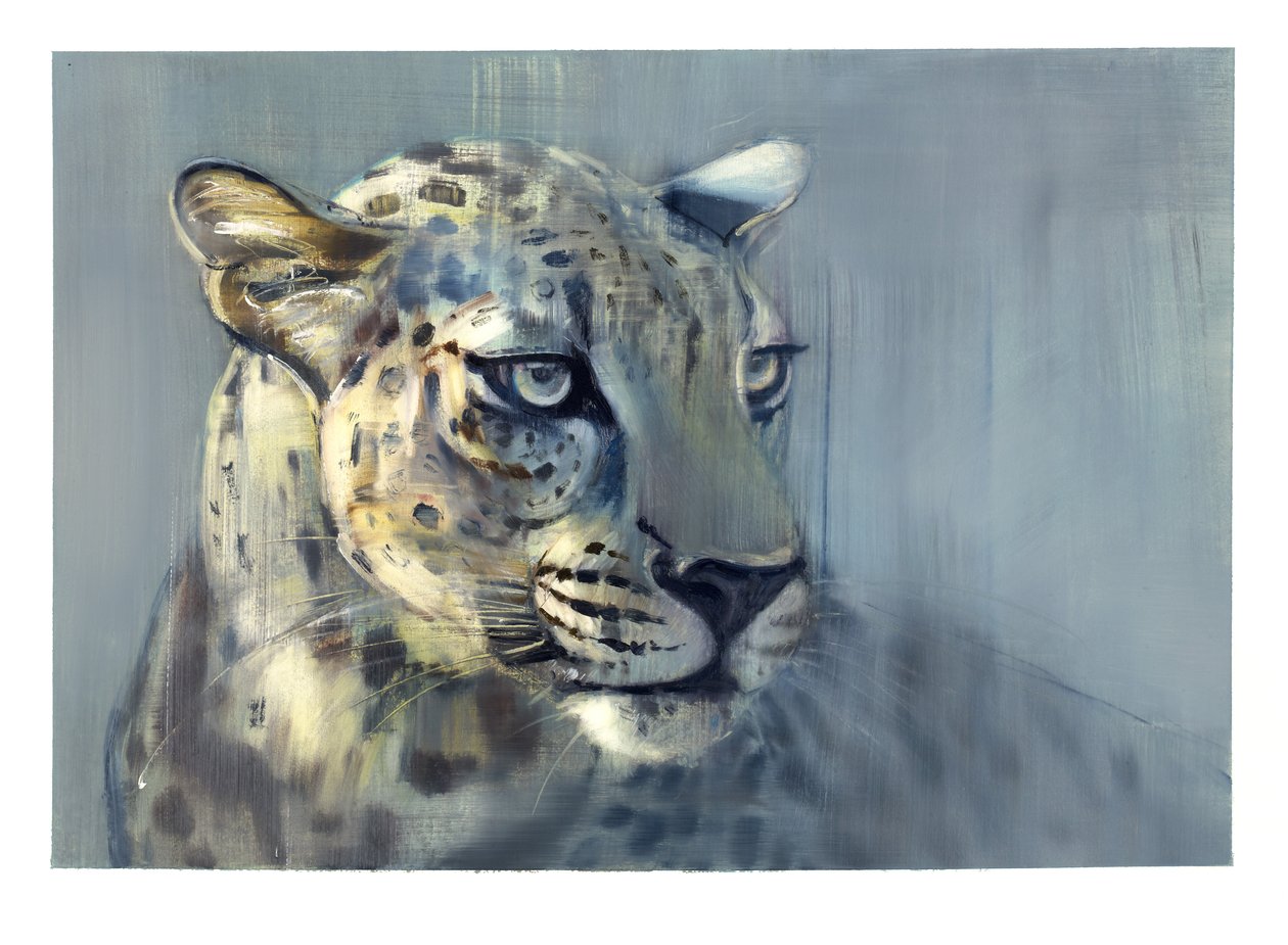 Predator II (Arabian Leopard), 2009 (olje på papir) av Mark Adlington