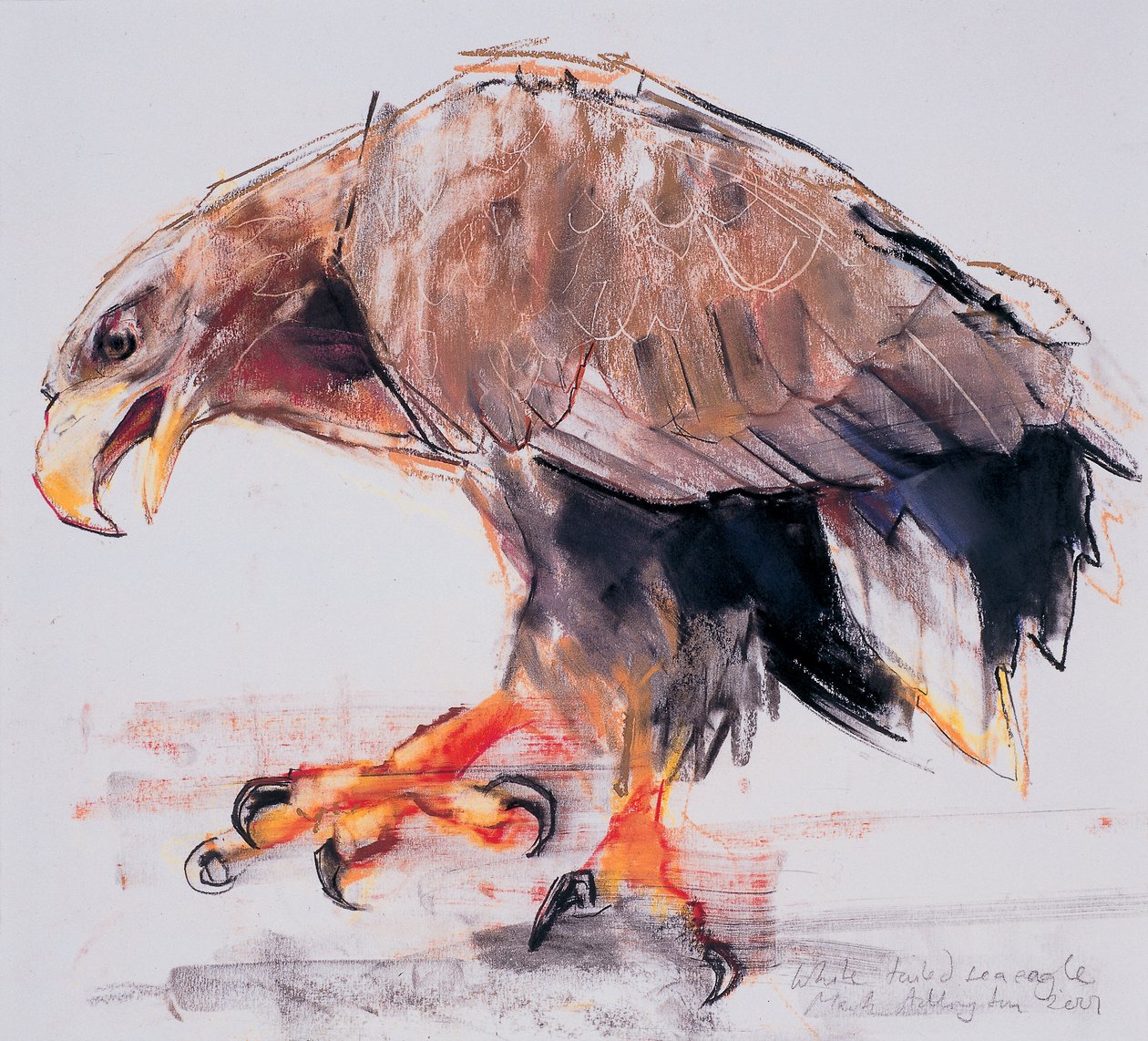Raptor, 2001 (kull og conte på papir) av Mark Adlington
