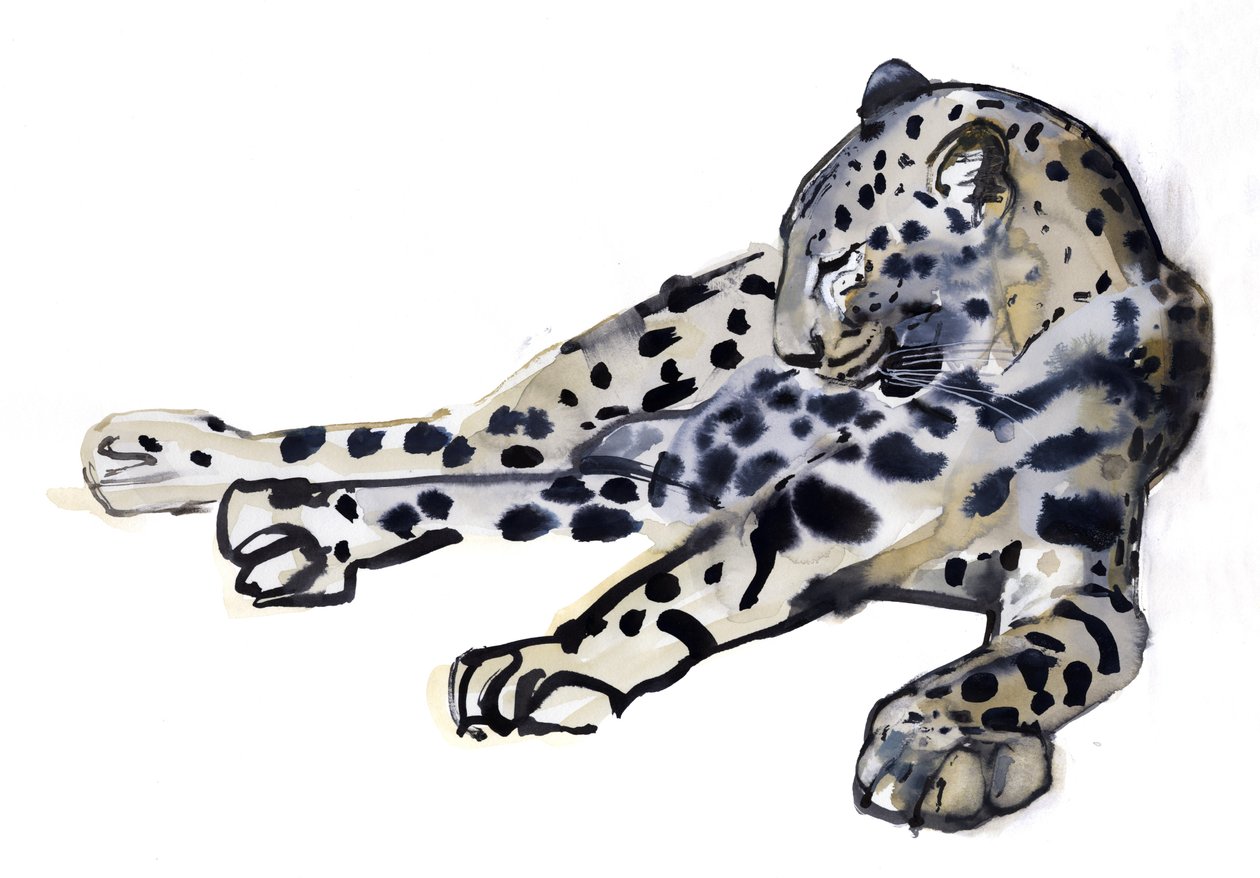 Liggende (arabisk leopard), 2008 av Mark Adlington