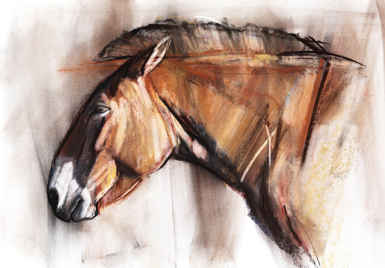 Resting Horse, 2013, (pastell og kull på papir) av Mark Adlington