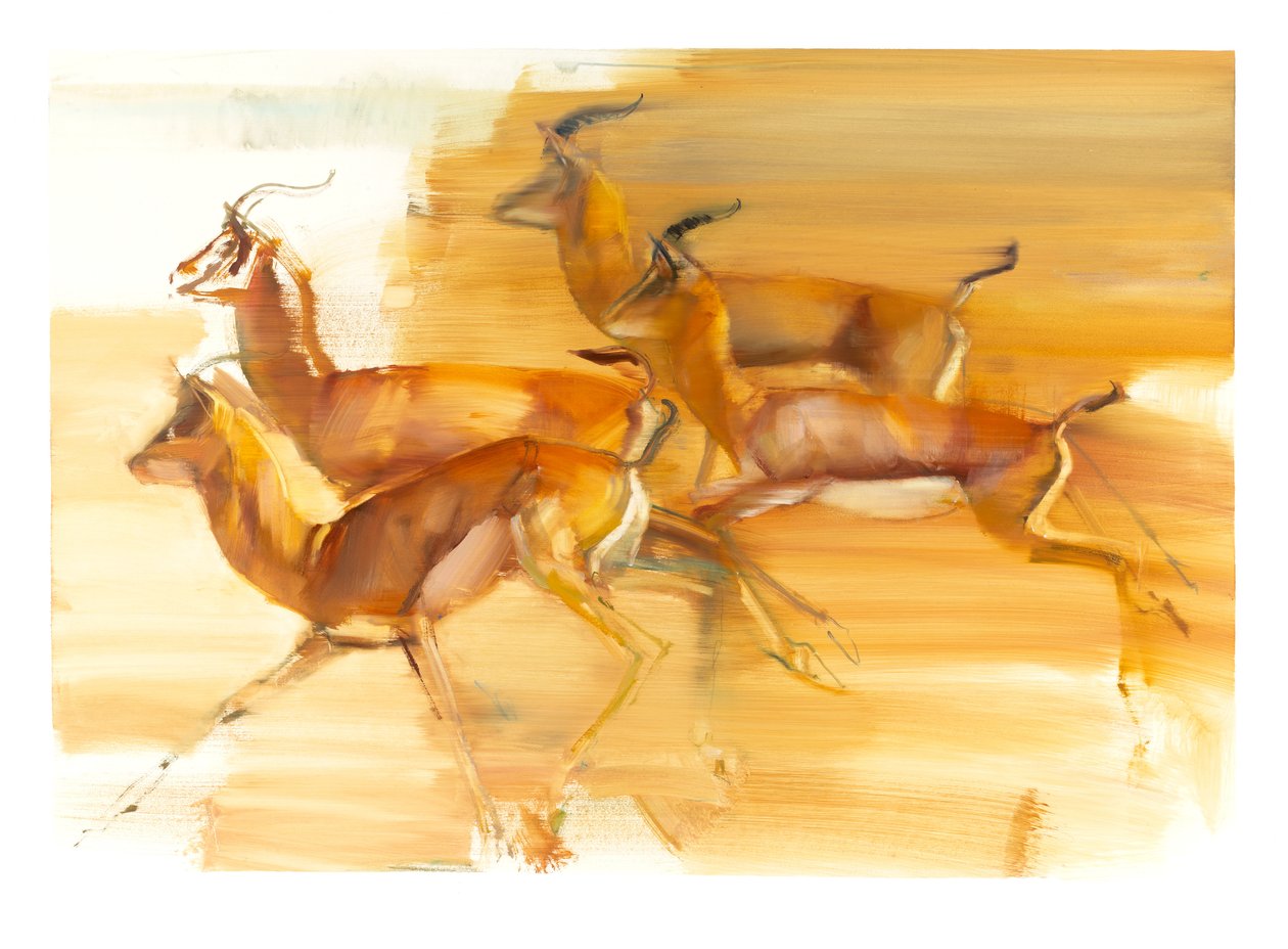 Running Gazelles, 2010 (olje på papir) av Mark Adlington