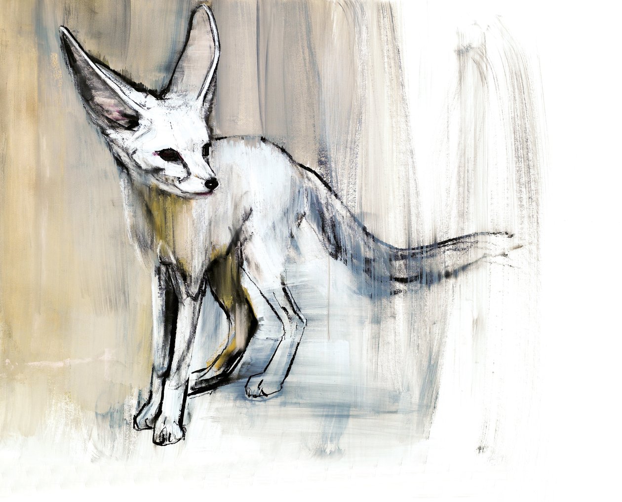 Sand Fox, 2009 (conte und charcoal på papir) av Mark Adlington