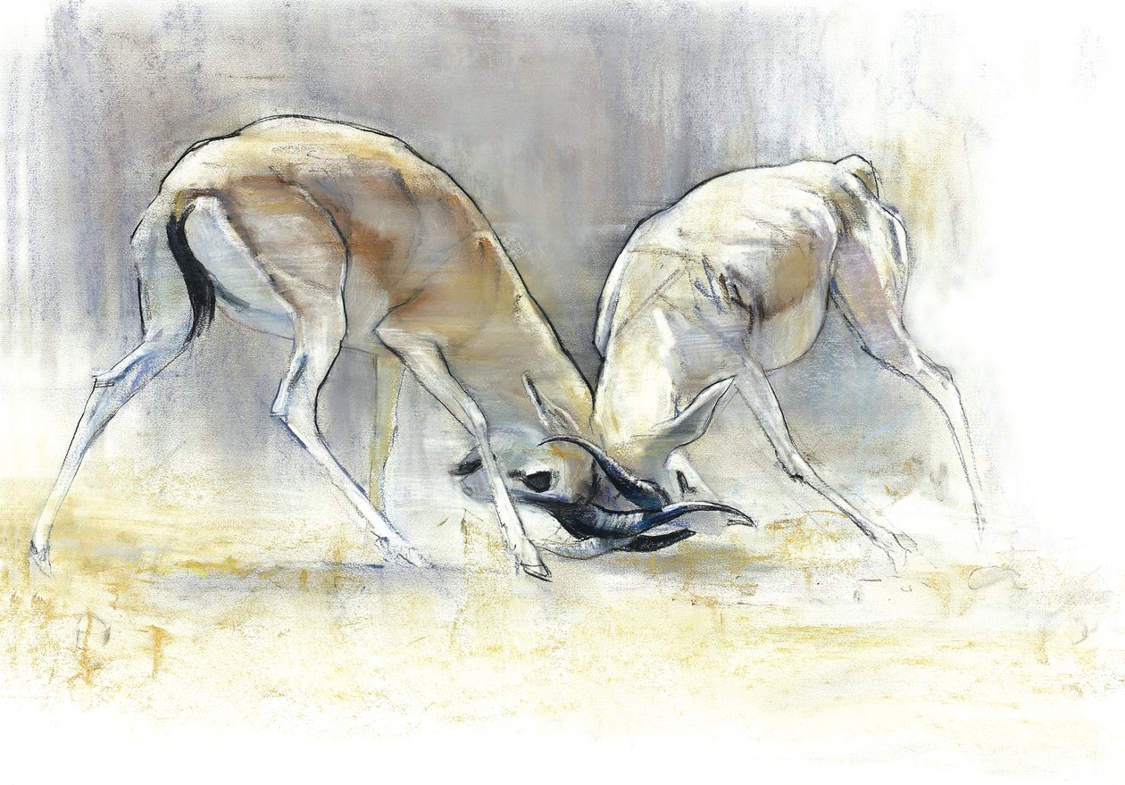 Sand Gazelles, 2009 (conte & kull på papir) av Mark Adlington