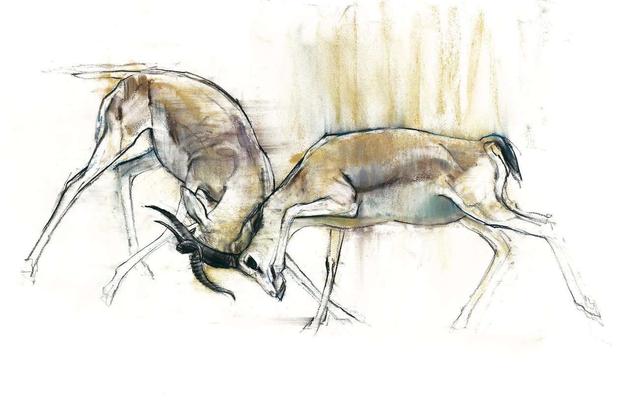 Sand Gazelles, 2009 (conte og kull på papir) av Mark Adlington