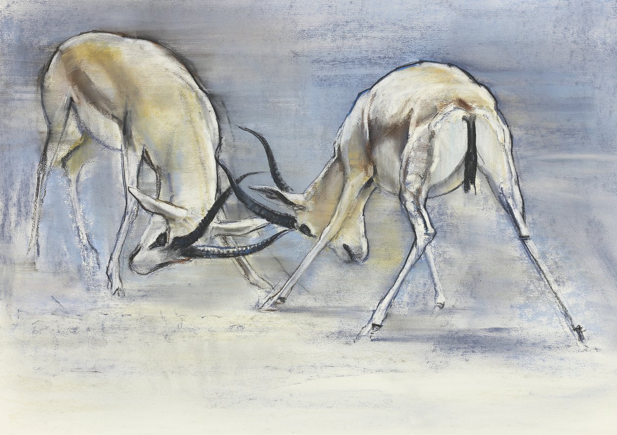Sand Gazelles, 2009 (conte og kull på papir) av Mark Adlington