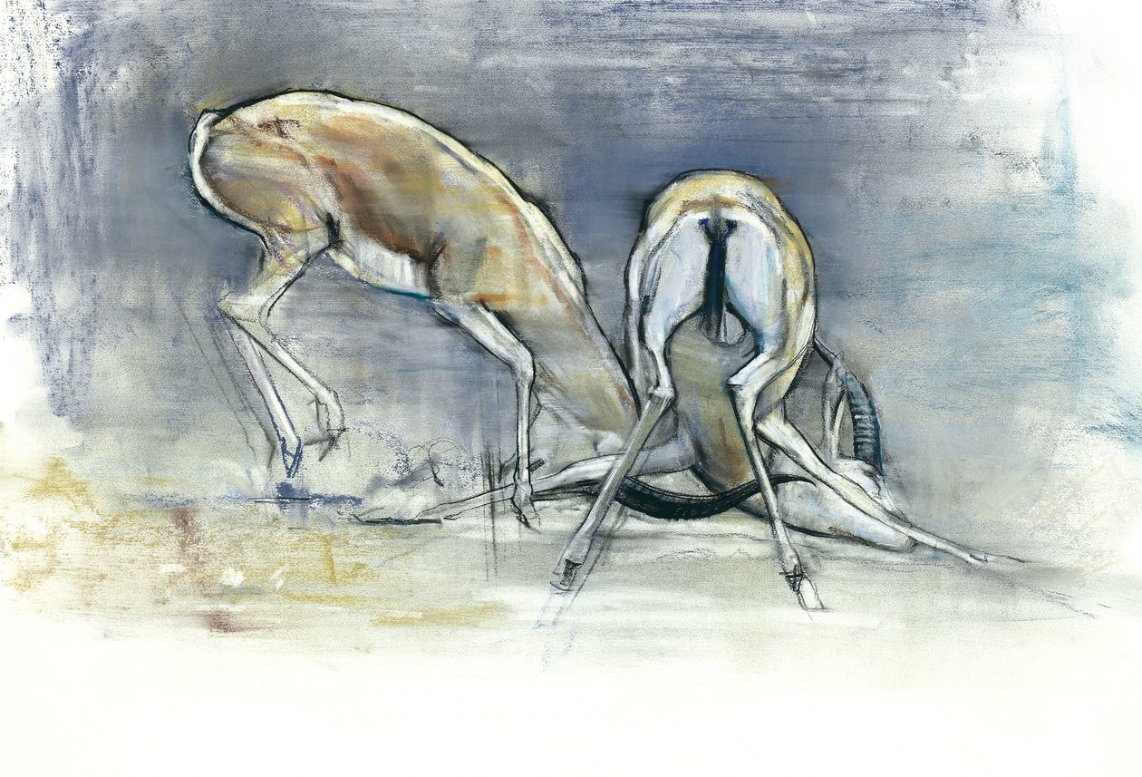 Sand Gazelles, 2009 (conte og kull på papir) av Mark Adlington