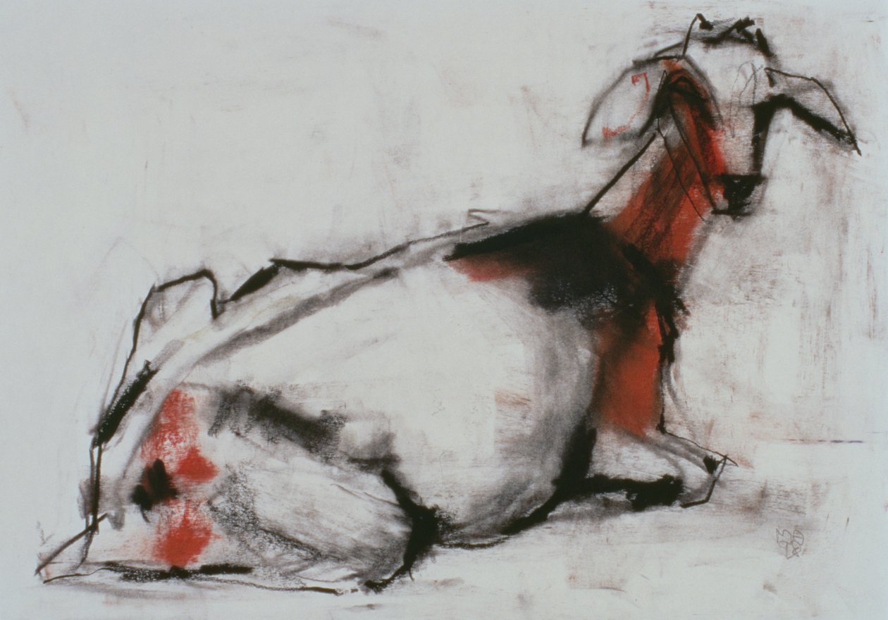 Sittende geit, 1998 (conte og kull på papir) av Mark Adlington