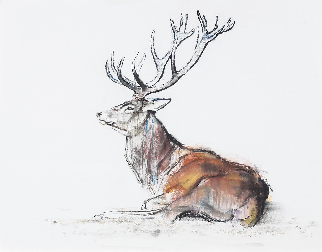 Sittende Stag, 2006 (kull und conte på papir) av Mark Adlington