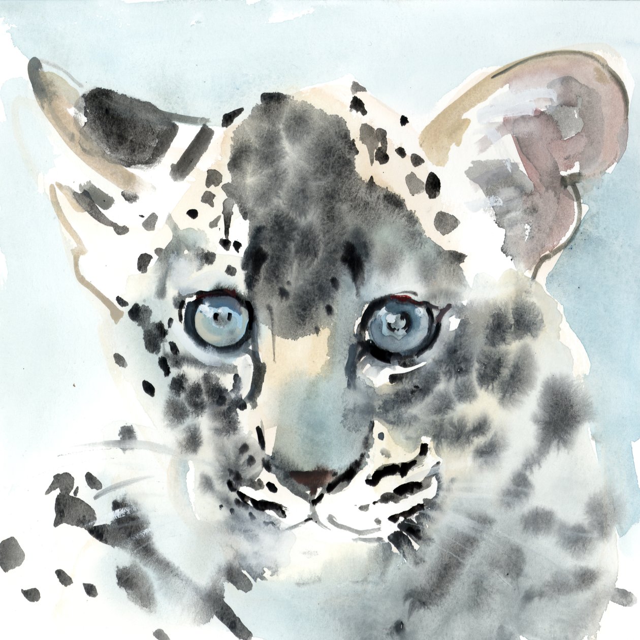 Shy, 2015, (akvarell på papir) av Mark Adlington