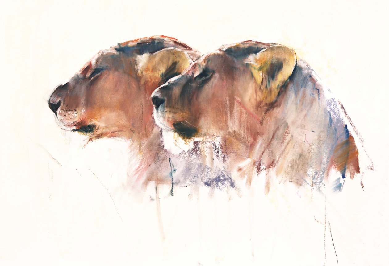 Sisters, Etosha, 2017 av Mark Adlington