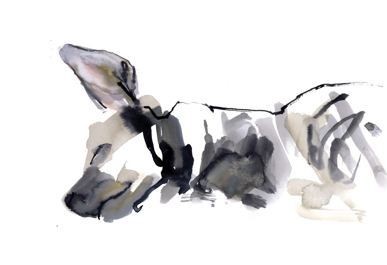 Sleeping Hyaena, 2010, (akvarell på papir) av Mark Adlington