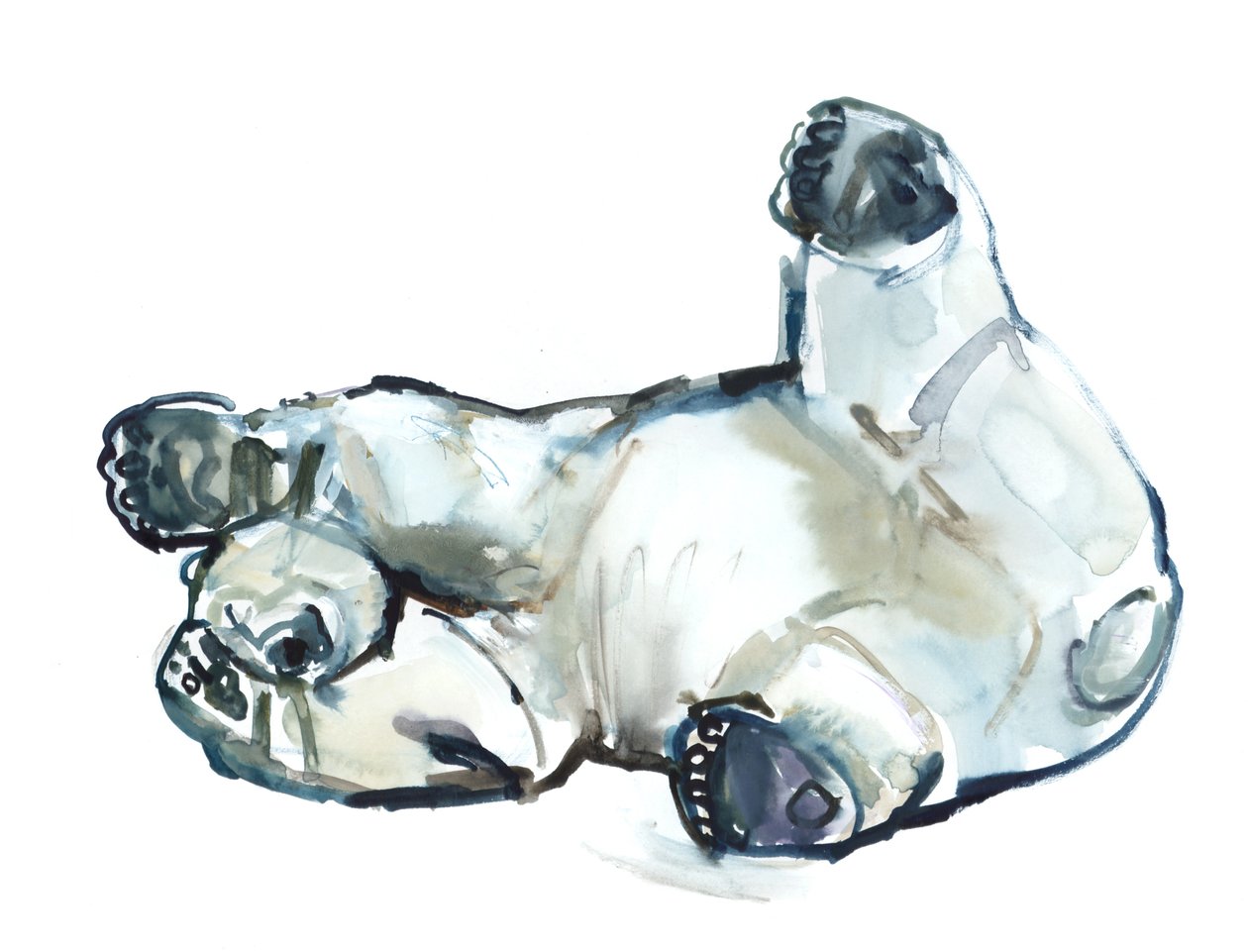 Snow Rub (isbjørn), 2013 (akvarell og gouache på papir) av Mark Adlington