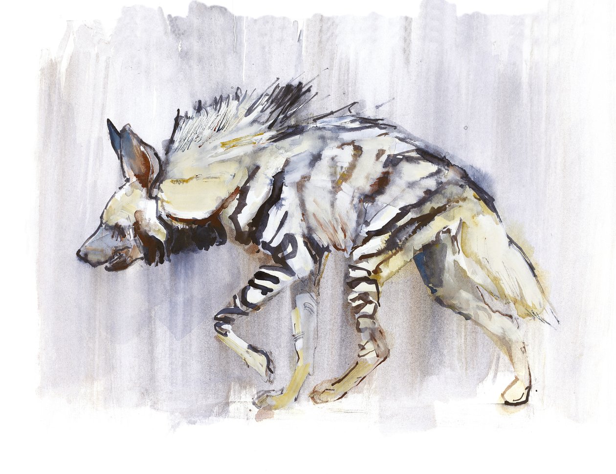 Stripet hyene, 2010, (akvarell på papir) av Mark Adlington
