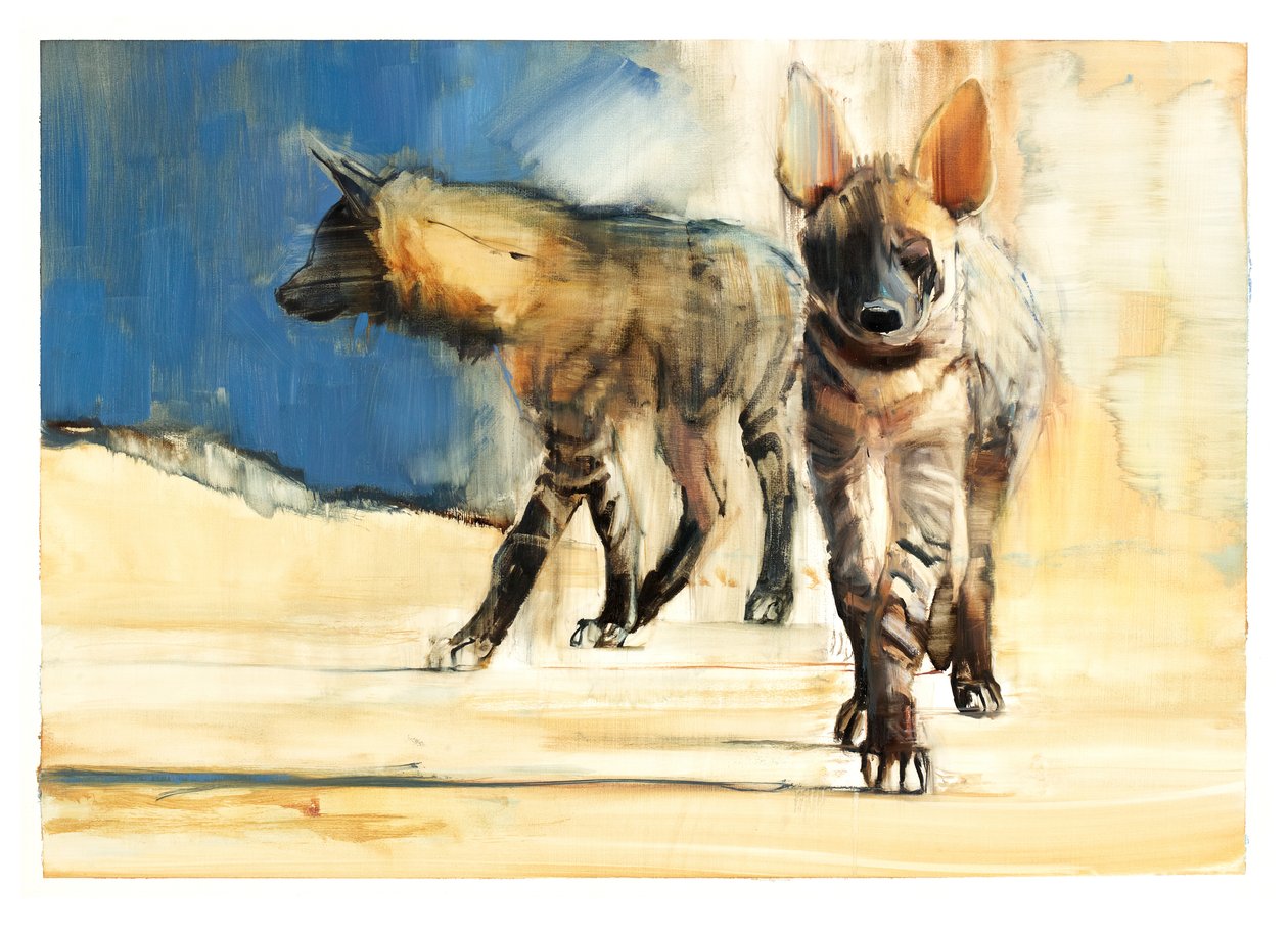 Stripede hyaener, 2010 (olje på papir) av Mark Adlington
