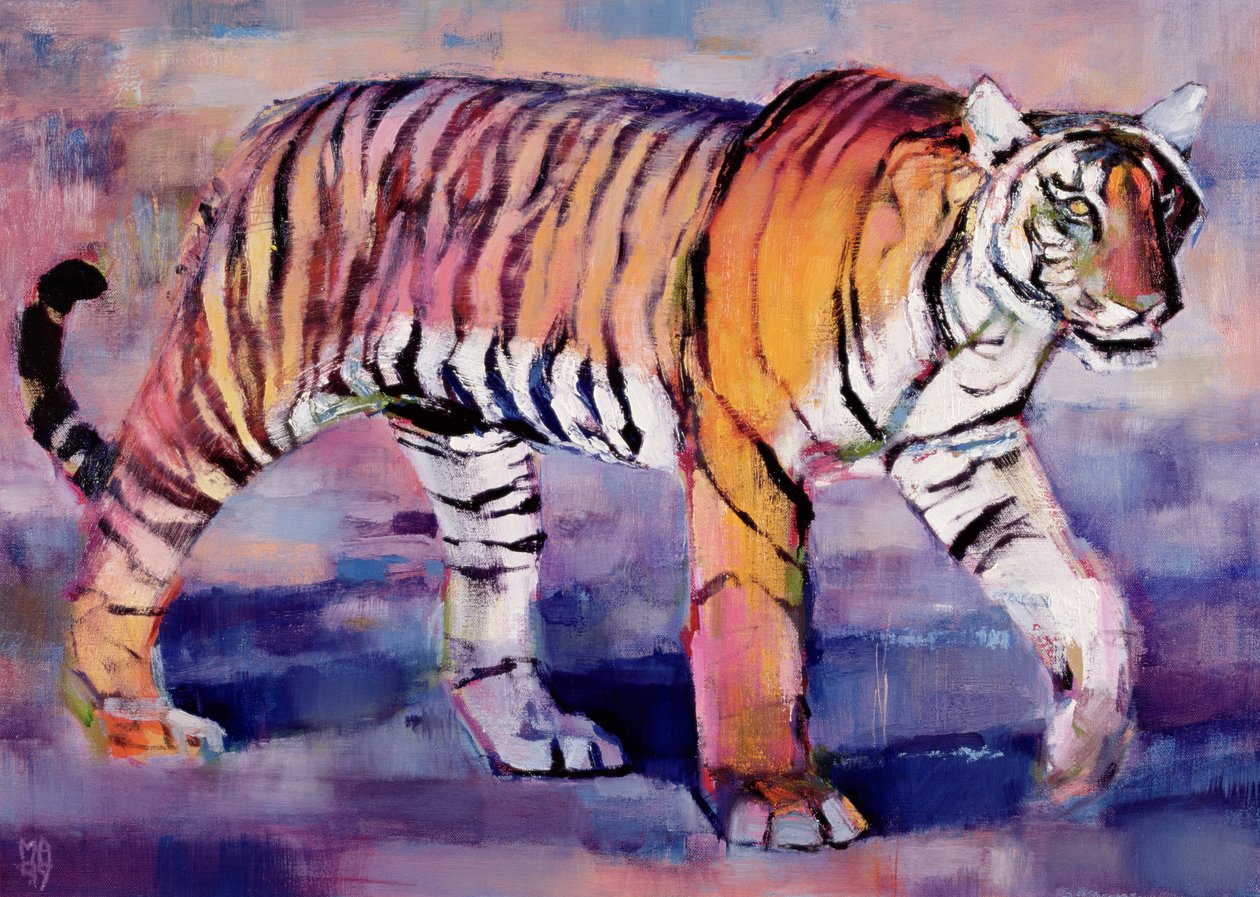 Tigress, Khana, India, 1999 av Mark Adlington