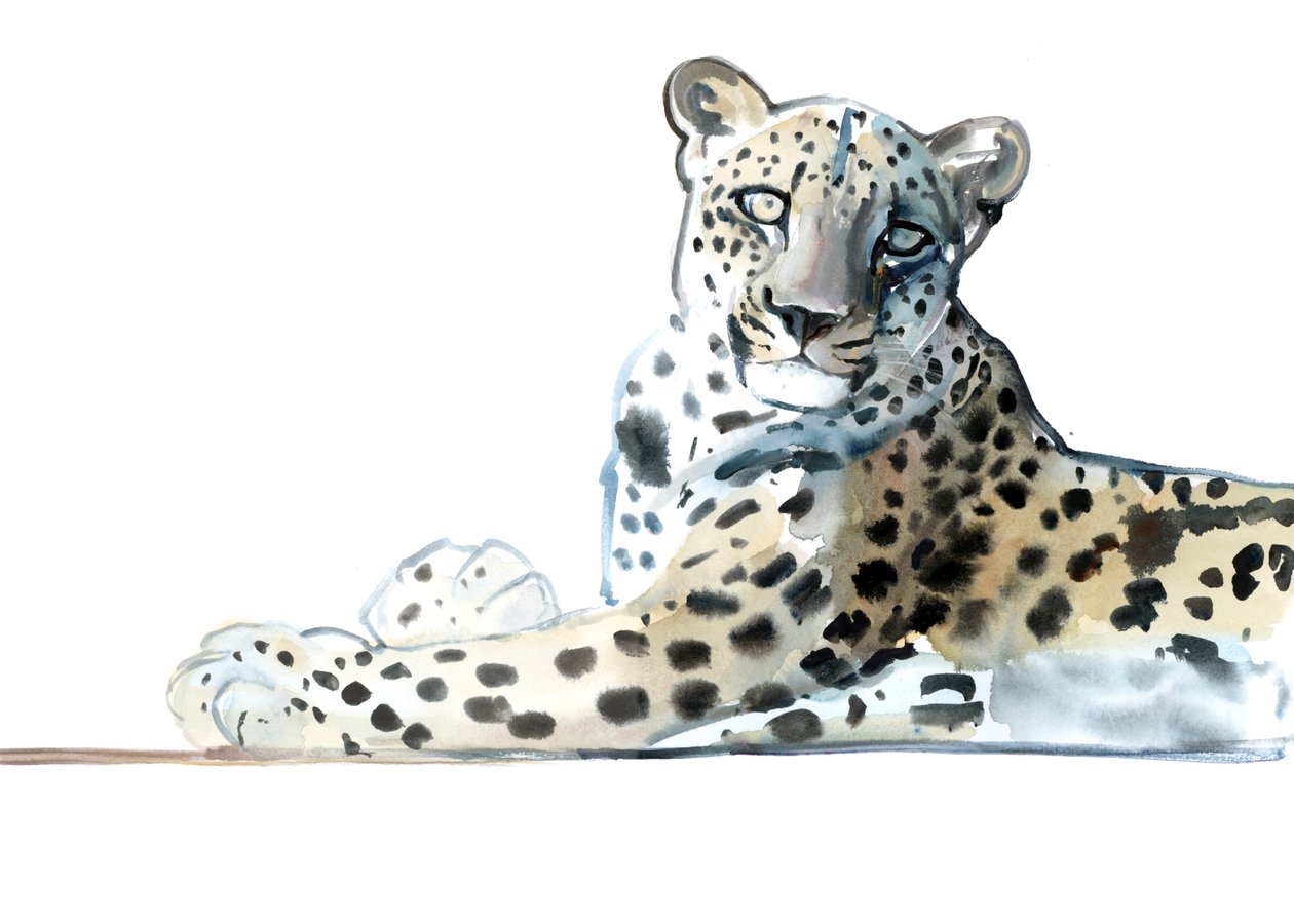 Tilt (arabisk leopard), 2015, (akvarell og gouache på papir) av Mark Adlington