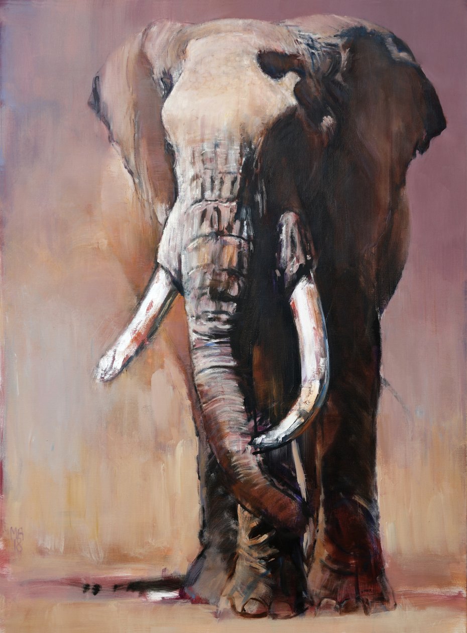 Difference, Chyulu Hills, 2018 av Mark Adlington