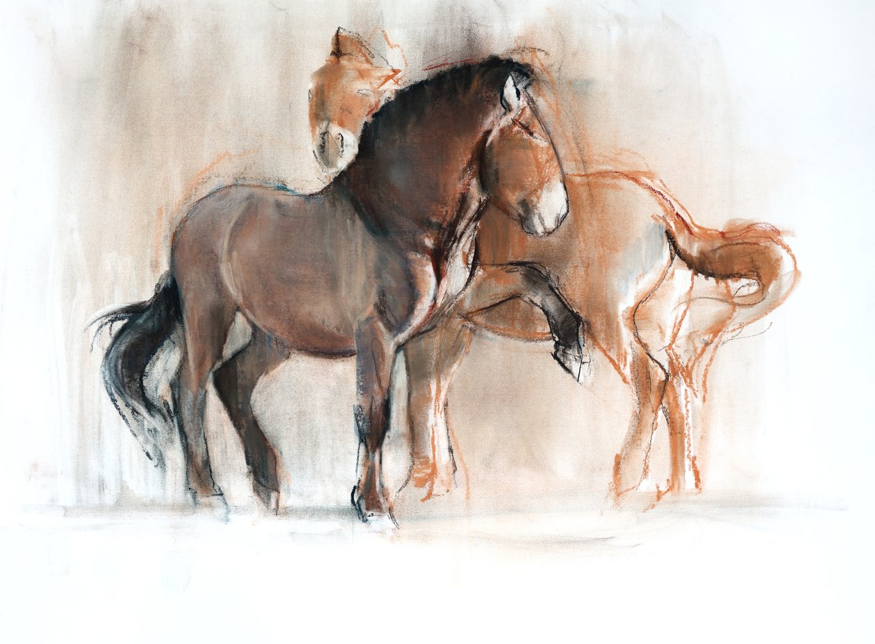 To (Przewalski), 2013, (pastell og kull på papir) av Mark Adlington