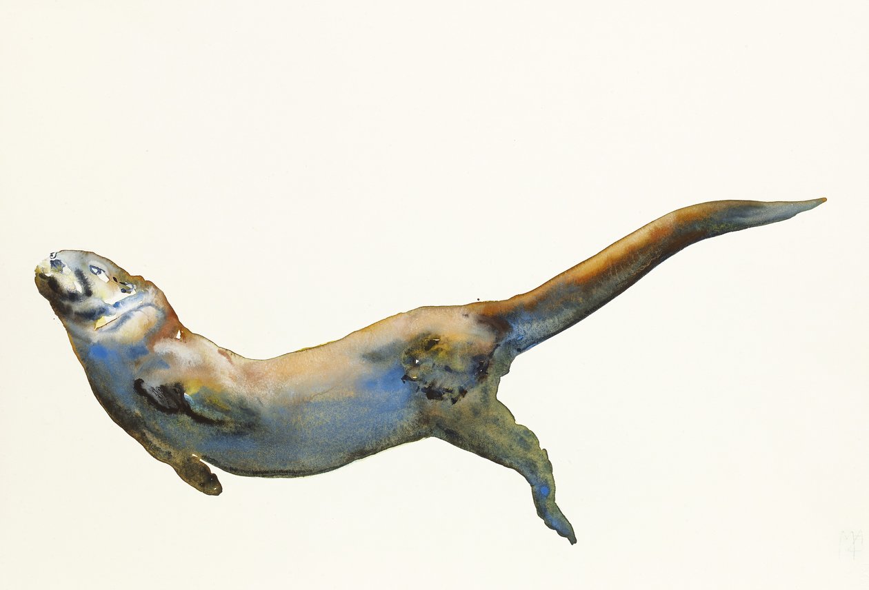 Velvet, 2014, (akvarell på papir) av Mark Adlington